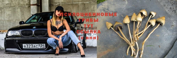 мескалин Балахна